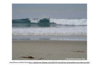 Jesse Bluma at Pointe Viven http://pointeviven.blogspot.com/2015/01/jesse-bluma-home-pointe-viven-take-tour.html
 