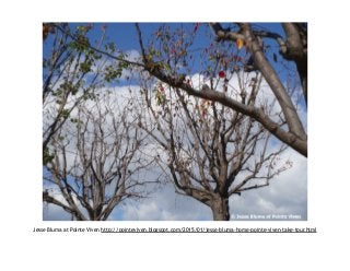 Jesse Bluma at Pointe Viven http://pointeviven.blogspot.com/2015/01/jesse-bluma-home-pointe-viven-take-tour.html
 