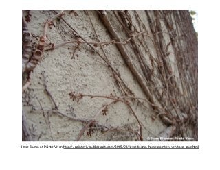 Jesse Bluma at Pointe Viven http://pointeviven.blogspot.com/2015/01/jesse-bluma-home-pointe-viven-take-tour.html
 