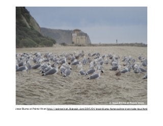 Jesse Bluma at Pointe Viven http://pointeviven.blogspot.com/2015/01/jesse-bluma-home-pointe-viven-take-tour.html
 