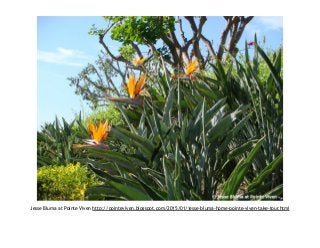 Jesse Bluma at Pointe Viven http://pointeviven.blogspot.com/2015/01/jesse-bluma-home-pointe-viven-take-tour.html
 