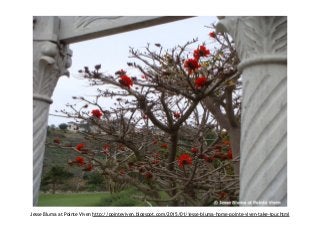 Jesse Bluma at Pointe Viven http://pointeviven.blogspot.com/2015/01/jesse-bluma-home-pointe-viven-take-tour.html
 