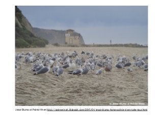 Jesse Bluma at Pointe Viven http://pointeviven.blogspot.com/2015/01/jesse-bluma-home-pointe-viven-take-tour.html
 