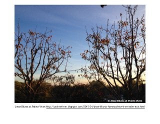 Jesse Bluma at Pointe Viven http://pointeviven.blogspot.com/2015/01/jesse-bluma-home-pointe-viven-take-tour.html
 