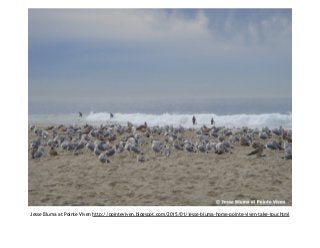 Jesse Bluma at Pointe Viven http://pointeviven.blogspot.com/2015/01/jesse-bluma-home-pointe-viven-take-tour.html
 