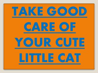 TAKE GOOD
CARE OF
YOUR CUTE
LITTLE CAT
 