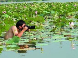 Про фотографов