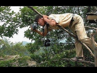 Про фотографов