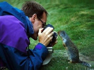 Про фотографов