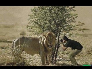 Про фотографов