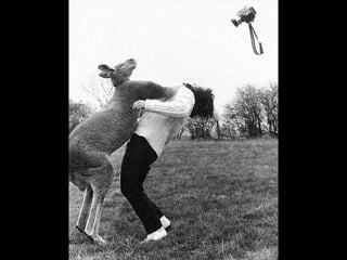 Про фотографов