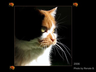 2006  Photo by Renate B. 