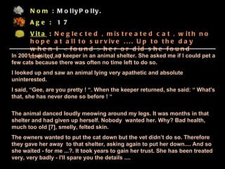 Nom :  MollyPolly. Age :  1 7  Vita  :  Neglected , mistreated cat , with no hope at all to survive .... Up to the day when I  < found > her or did she found me .... ? In 2001 I visited an keeper in an animal shelter. She asked me if I could pet a few cats because there was often no time left to do so.  I looked up and saw an animal lying very apathetic and absolute uninterested.  I said, “Gee, are you pretty ! “. When the keeper returned, she said: “ What's that, she has never done so before ! “ The animal danced loudly meowing around my legs. It was months in that shelter and had given up herself. Nobody  wanted her. Why? Bad health, much too old [7], smelly, felted skin.  The owners wanted to put the cat down but the vet didn’t do so. Therefore they gave her away  to that shelter, asking again to put her down.... And so she waited - for me ...?. It took years to gain her trust. She has been treated very, very badly - I'll spare you the details .... 
