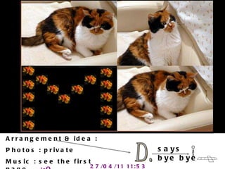 D. says  bye bye Arrangement & idea : Photos : private  Music : see the first page...   :-O 27/04/11   11:53 