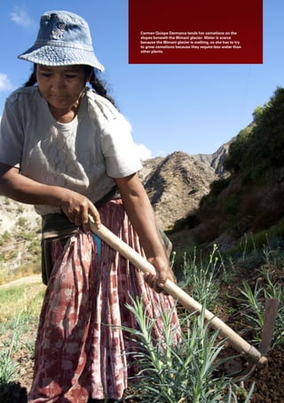 6  Taken By Storm: how climate change is
Carmen Quispe Dermarca tends her carnations on the
slopes beneath the Illimani glacier. Water is scarce
because the Illimani glacier is melting, so she has to try
to grow carnations because they require less water than
other plants.
 