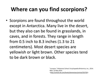 Where can you find scorpions?
• Scorpions are found throughout the world
except in Antarctica. Many live in the desert,
but they also can be found in grasslands, in
caves, and in forests. They range in length
from 0.5 inch to 8.3 inches (1.3 to 21
centimeters). Most desert species are
yellowish or light brown. Other species tend
to be dark brown or black.
"scorpion." Britannica School. Encyclopædia Britannica, Inc., 2014.
Web. 25 May 2014.
<http://school.eb.com/levels/elementary/article/353750>.
 