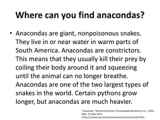 Where can you find anacondas?
• Anacondas are giant, nonpoisonous snakes.
They live in or near water in warm parts of
South America. Anacondas are constrictors.
This means that they usually kill their prey by
coiling their body around it and squeezing
until the animal can no longer breathe.
Anacondas are one of the two largest types of
snakes in the world. Certain pythons grow
longer, but anacondas are much heavier.
"anaconda." Britannica School. Encyclopædia Britannica, Inc., 2014.
Web. 25 May 2014.
<http://school.eb.com/levels/elementary/article/352749>.
 