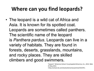 Where can you find leopards?
• The leopard is a wild cat of Africa and
Asia. It is known for its spotted coat.
Leopards are sometimes called panthers.
The scientific name of the leopard
is Panthera pardus. Leopards can live in a
variety of habitats. They are found in
forests, deserts, grasslands, mountains,
and rocky places. They are skilled
climbers and good swimmers.
"leopard." Britannica School. Encyclopædia Britannica, Inc., 2014. Web.
25 May 2014.
<http://school.eb.com/levels/elementary/article/353379>.
 