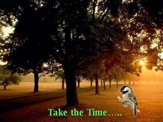 Take the Time ….. 