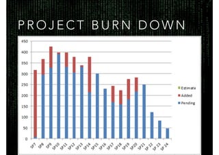 P R O J E C T B U R N D O W N
 