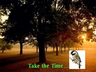 Take the Time ….. 