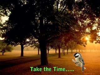 Take the Time…..
         Time
 