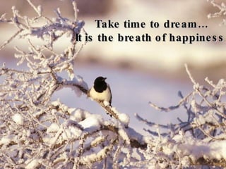 Take time to dream… It is the breath of happiness!