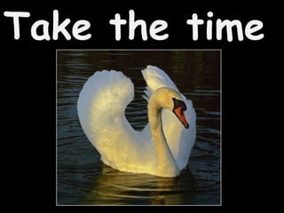 Take the time 
