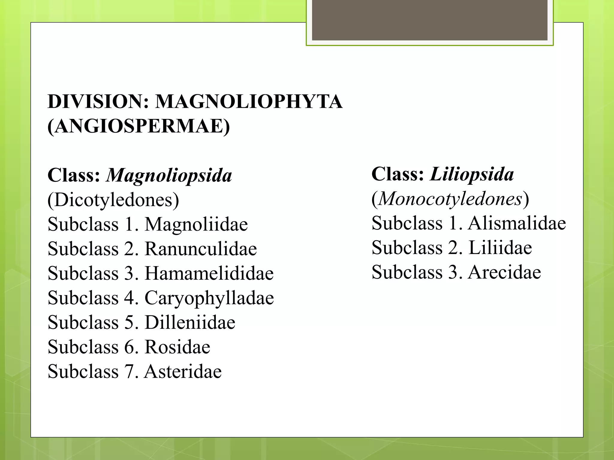 DIVISION: MAGNOLIOPHYTA
(ANGIOSPERMAE)
Class: Magnoliopsida
(Dicotyledones)
Subclass 1. Magnoliidae
Subclass 2. Ranunculidae
Subclass 3. Hamamelididae
Subclass 4. Caryophylladae
Subclass 5. Dilleniidae
Subclass 6. Rosidae
Subclass 7. Asteridae
Class: Liliopsida
(Monocotyledones)
Subclass 1. Alismalidae
Subclass 2. Liliidae
Subclass 3. Arecidae
 