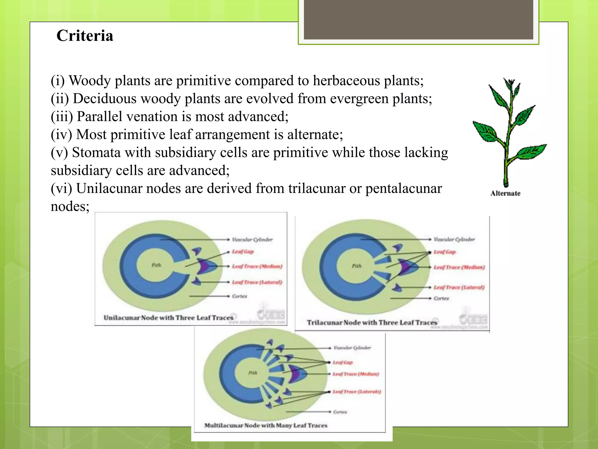 (i) Woody plants are primitive compared to herbaceous plants;
(ii) Deciduous woody plants are evolved from evergreen plants;
(iii) Parallel venation is most advanced;
(iv) Most primitive leaf arrangement is alternate;
(v) Stomata with subsidiary cells are primitive while those lacking
subsidiary cells are advanced;
(vi) Unilacunar nodes are derived from trilacunar or pentalacunar
nodes;
Criteria
 