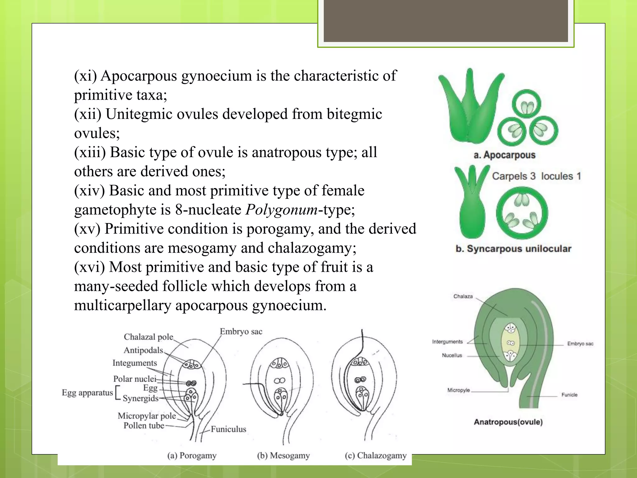 (xi) Apocarpous gynoecium is the characteristic of
primitive taxa;
(xii) Unitegmic ovules developed from bitegmic
ovules;
(xiii) Basic type of ovule is anatropous type; all
others are derived ones;
(xiv) Basic and most primitive type of female
gametophyte is 8-nucleate Polygonum-type;
(xv) Primitive condition is porogamy, and the derived
conditions are mesogamy and chalazogamy;
(xvi) Most primitive and basic type of fruit is a
many-seeded follicle which develops from a
multicarpellary apocarpous gynoecium.
 
