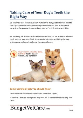 Page 1
Taking Care of Your Dog's Teeth the
Right Way
Do you know that dental issue is an invitation to many problems? You need to
check your pet's teeth and gums with your vet once in a year to detect the
early sign of any dental disease to keep your pet's teeth healthy and shiny.
An Adult dog has as much as 42 teeth while an adult cat has 30 teeth. Different
teeth perform a variety of task like grooming, Grasping and killing the prey,
and crushing and shearing of meat from prey's bones.
Some Common Facts You Should Know
Dental disease is commonly seen in pets older than 3 years.
Carnivore's diet and eating habit help your pet to keep their teeth strong and
clean.
 