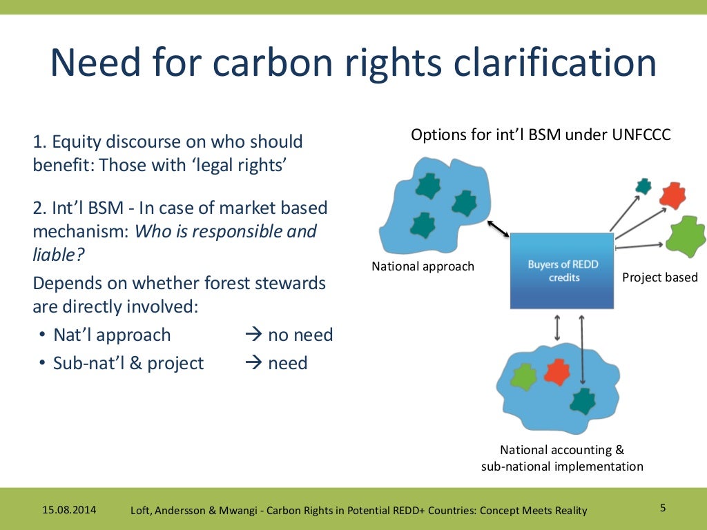 Taking stock of carbon rights in REDD+ candidate countries Concept m…