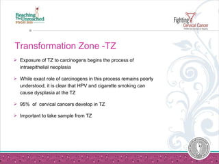Transformation Zone -TZ Exposure of TZ to carcinogens begins the process of intraepithelial neoplasia While exact role of carcinogens in this process remains poorly understood, it is clear that HPV and cigarette smoking can cause dysplasia at the TZ 95%  of  cervical cancers develop in TZ  Important to take sample from TZ 