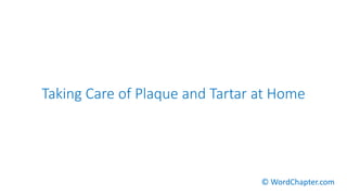 Taking Care of Plaque and Tartar at Home
© WordChapter.com
 