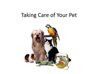 Taking Care of Your Pet
 
