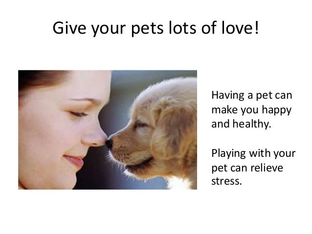 Does Playing With A Dog Make Him Poop Does Playing With A Dog Make Him Poop