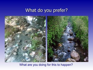 What do you prefer? What are you doing for this to happen? 