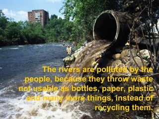 The rivers are polluted by the people, because they throw waste not usable as bottles, paper, plastic and many more things, instead of recycling them. 