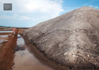 Image: Tejaram walks
amongst the piles
of salt harvested at the
Sambhar Salt Lake,
Ajmer district.
 