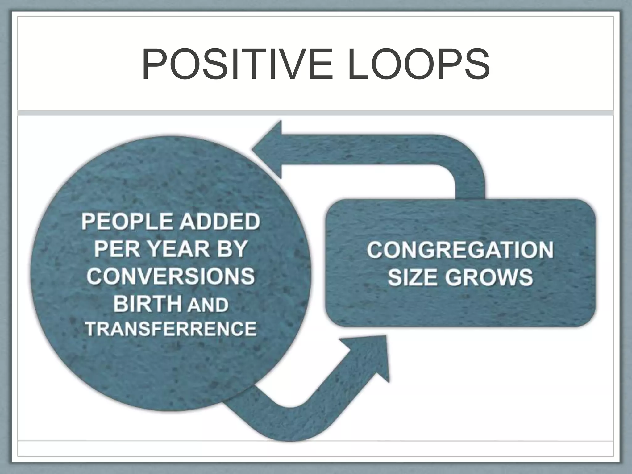 POSITIVE LOOPSPEOPLE ADDED PER YEAR BY CONVERSIONS BIRTH AND TRANSFERRENCECONGREGATION SIZE GROWS