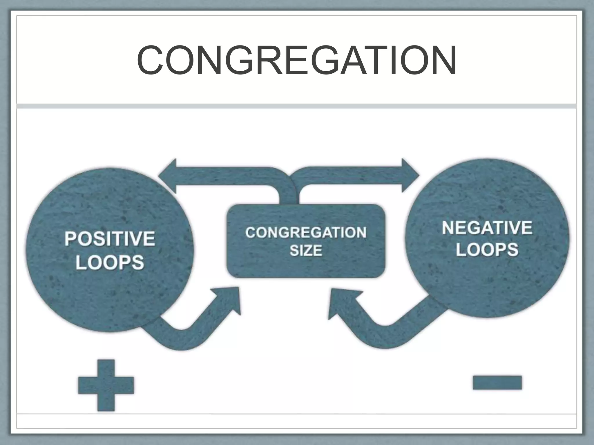 CONGREGATIONNEGATIVELOOPSPOSITIVELOOPSCONGREGATION SIZE