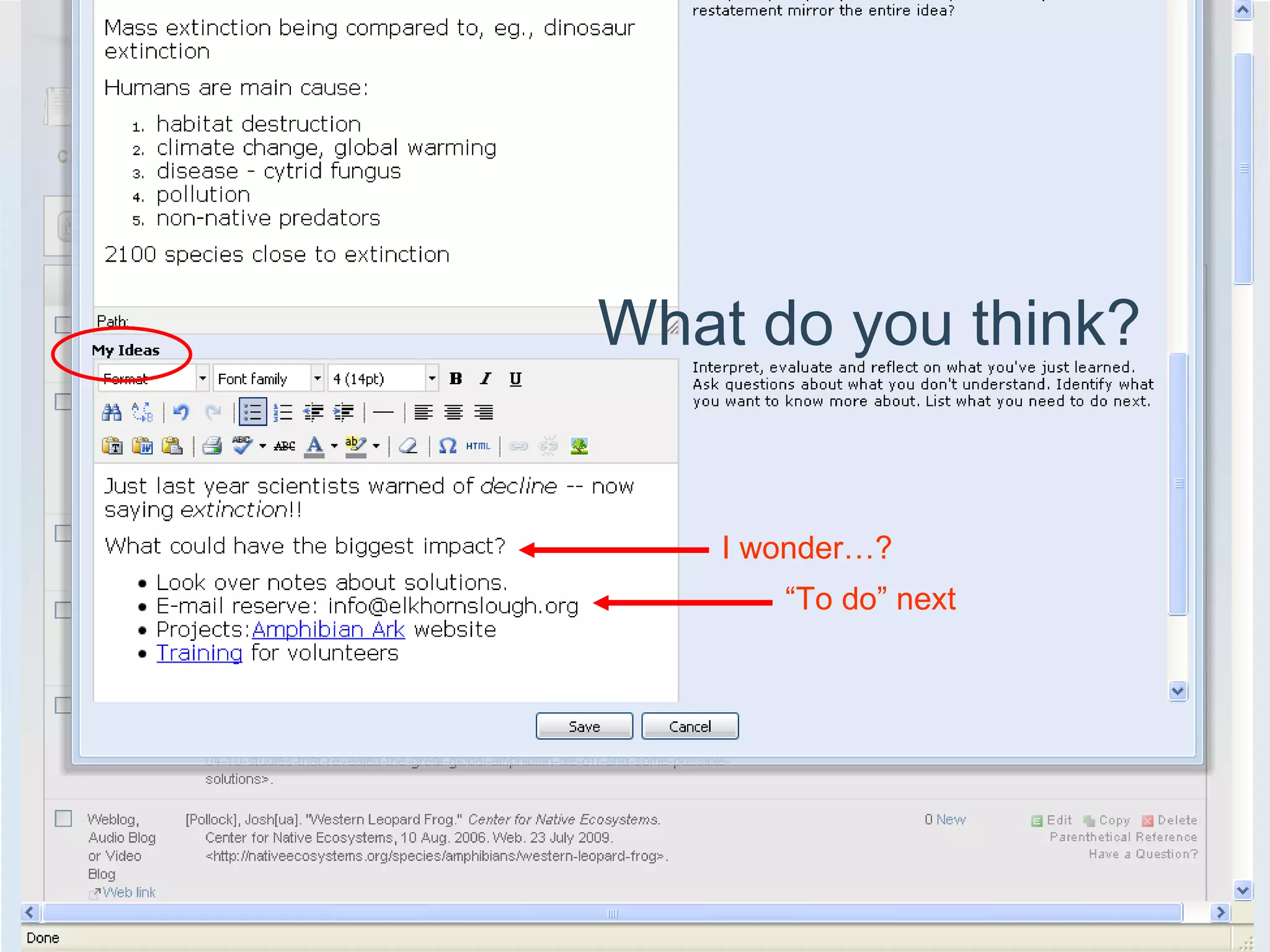 What do you think? I wonder…? “ To do” next 