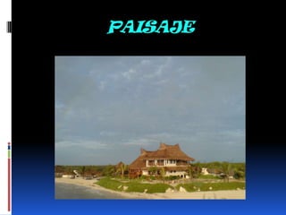 PAISAJE
