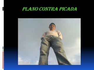 PLANO CONTRA PICADA