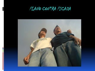 PLANO CONTRA PICADA