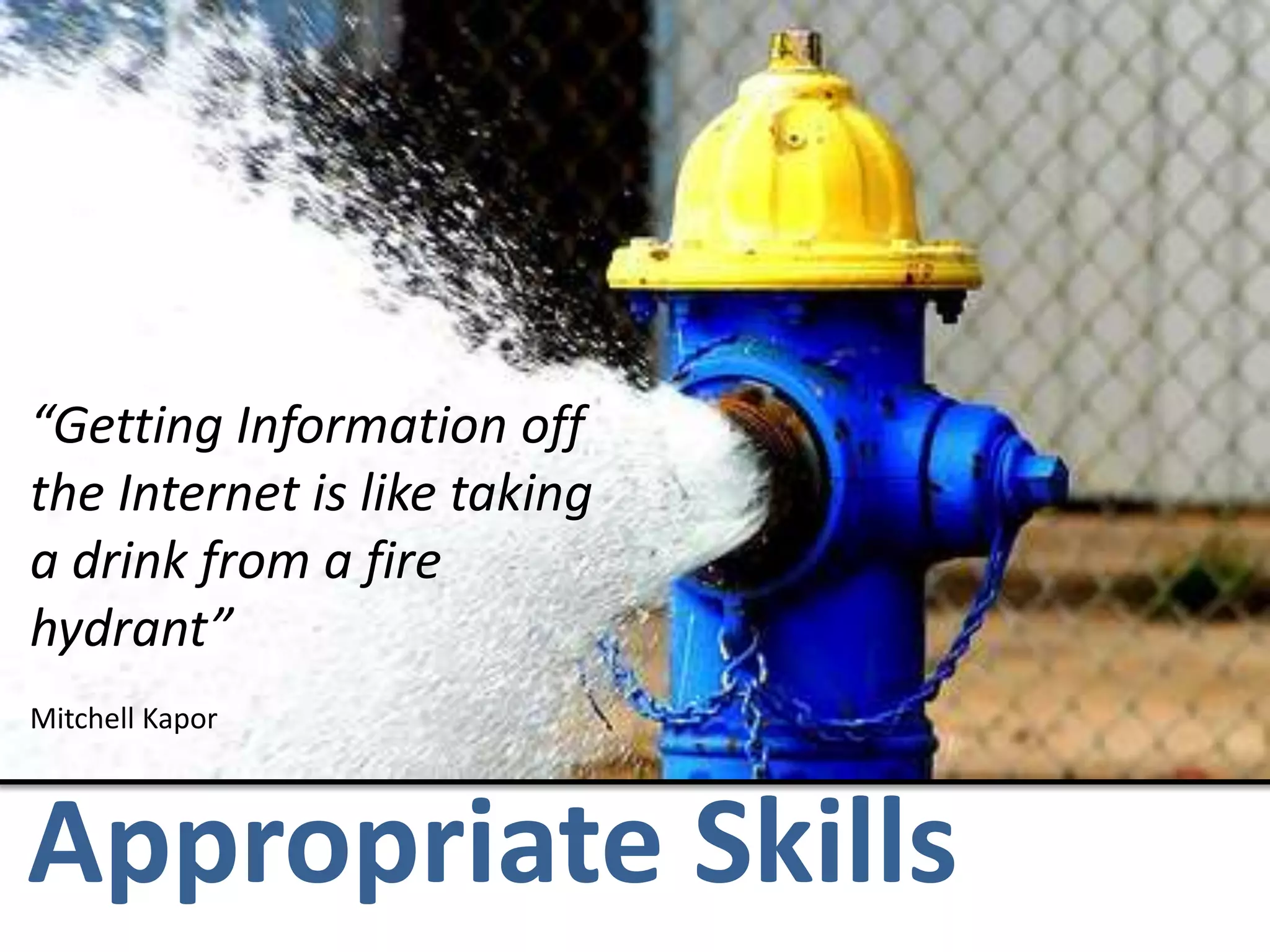 “Getting Information off the Internet is like taking a drink from a fire hydrant”Mitchell KaporAppropriate Skills