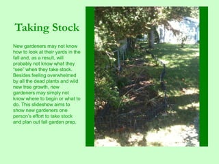 Taking Stock
New gardeners may not know
how to look at their yards in the
fall and, as a result, will
probably not know what they
“see” when they take stock.
Besides feeling overwhelmed
by all the dead plants and wild
new tree growth, new
gardeners may simply not
know where to begin or what to
do. This slideshow aims to
show new gardeners one
person’s effort to take stock
and plan out fall garden prep.
 