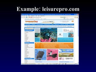 Example: leisurepro.com 
