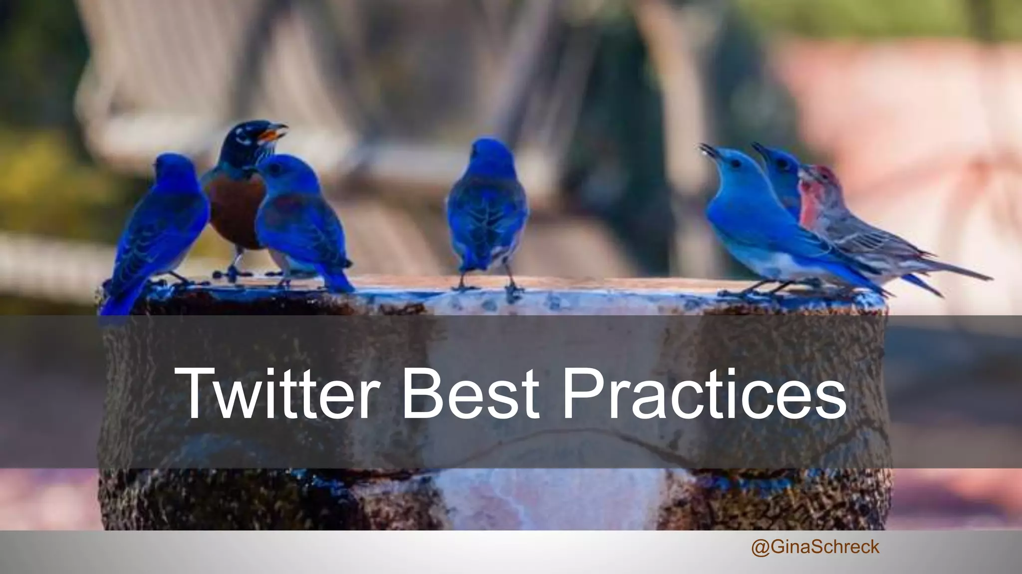 Twitter Best Practices
@GinaSchreck
 